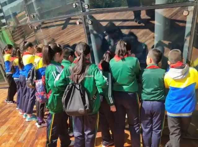 让草原学子在家门口享受优质科创教育以科技之力打破地域壁垒